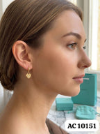 Aretes calidad top